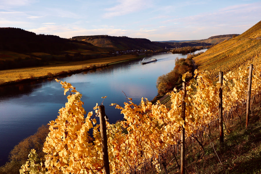 Gutschein Weinwanderung