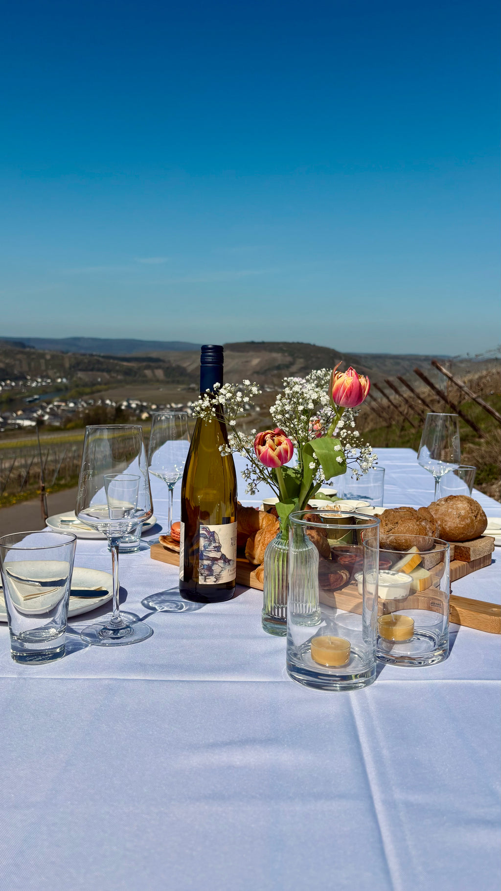 Weinpicknick