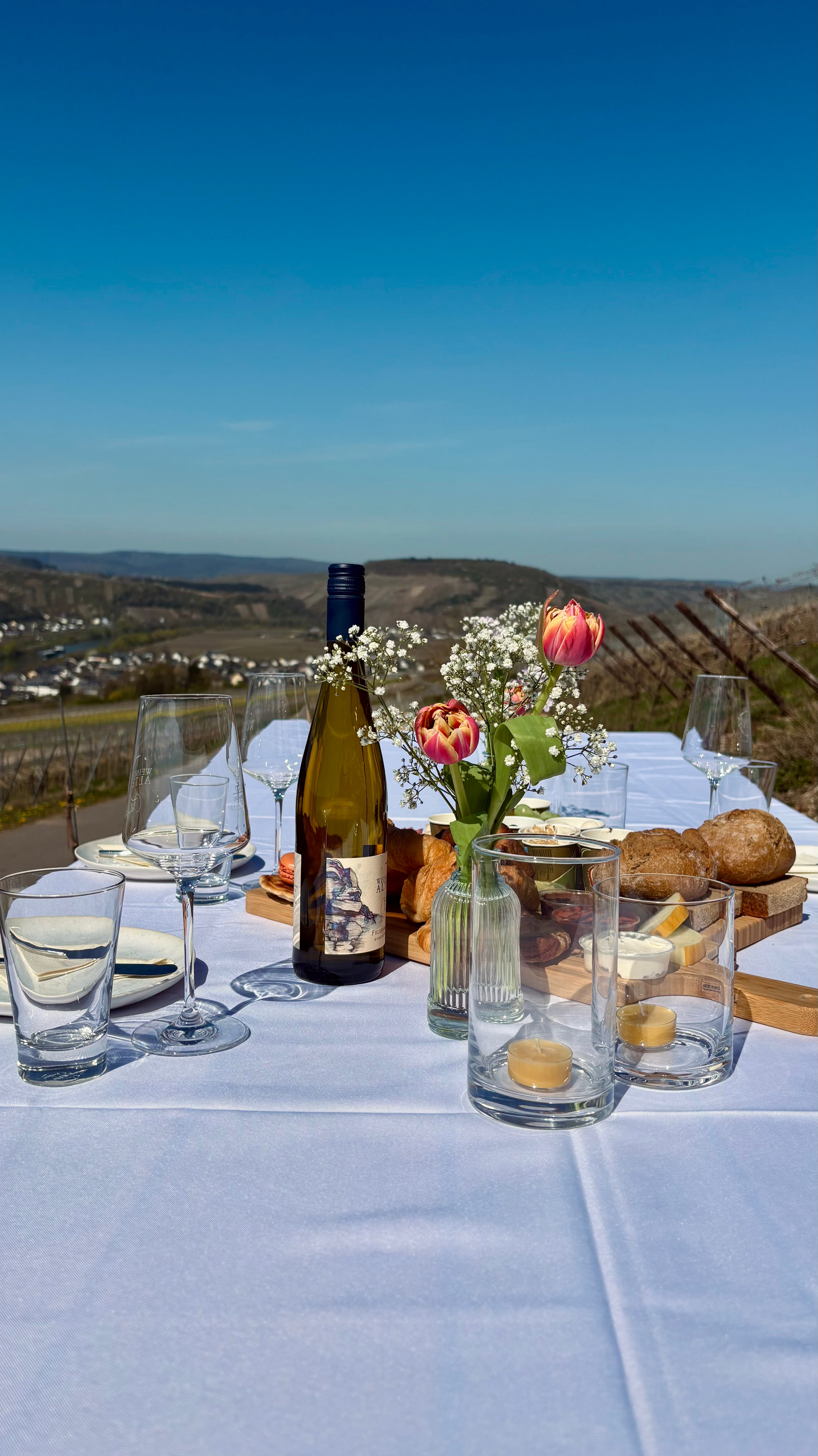 Weinpicknick