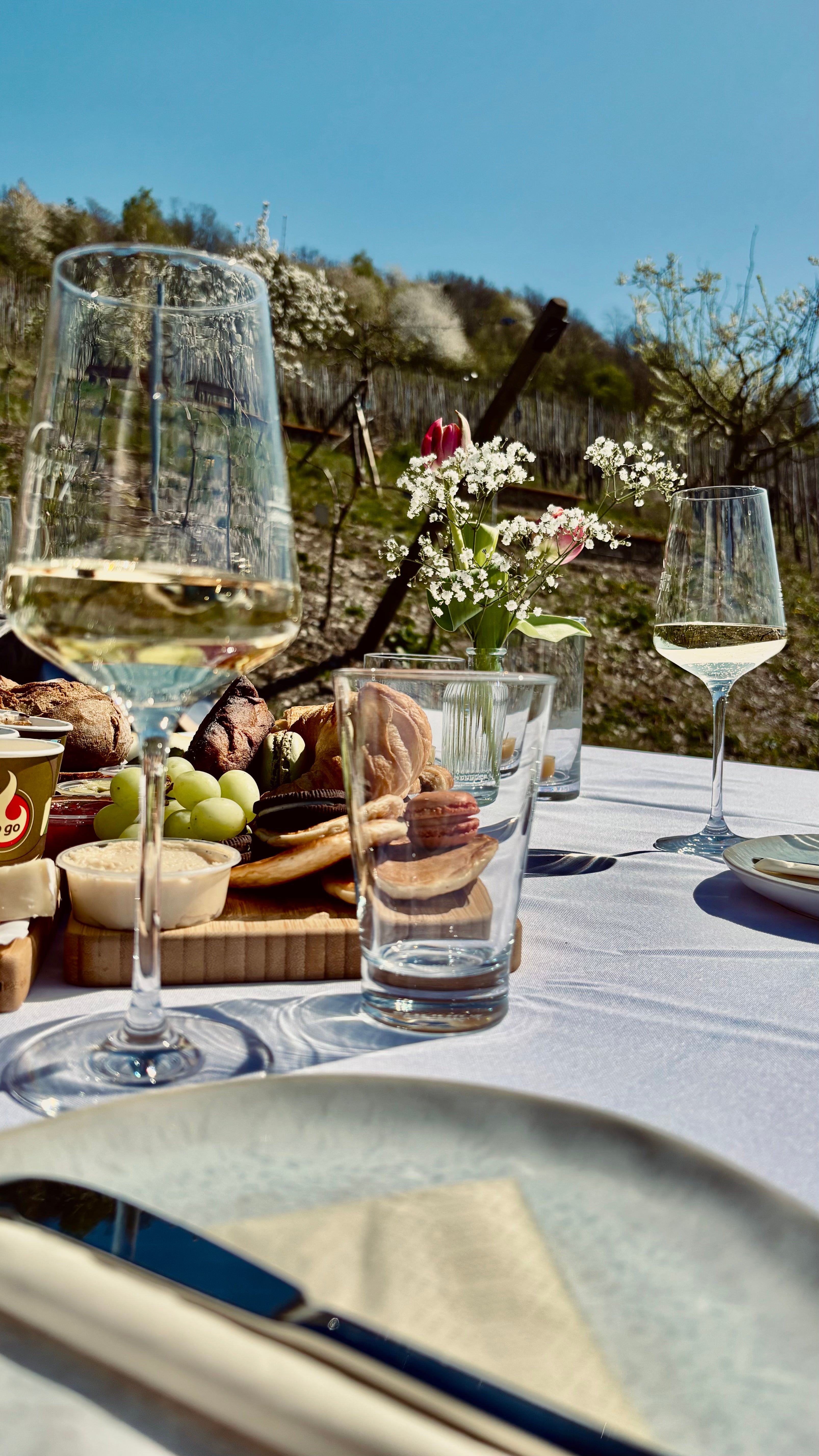 Weinpicknick