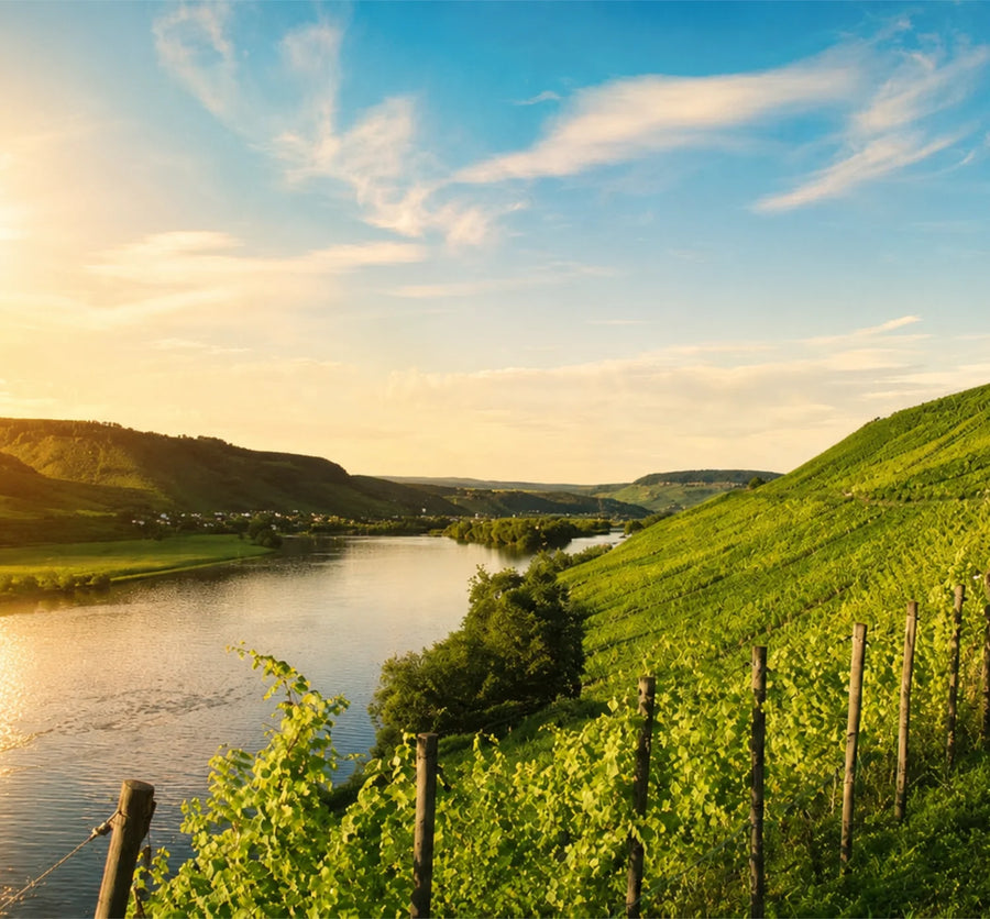 Weinwanderung