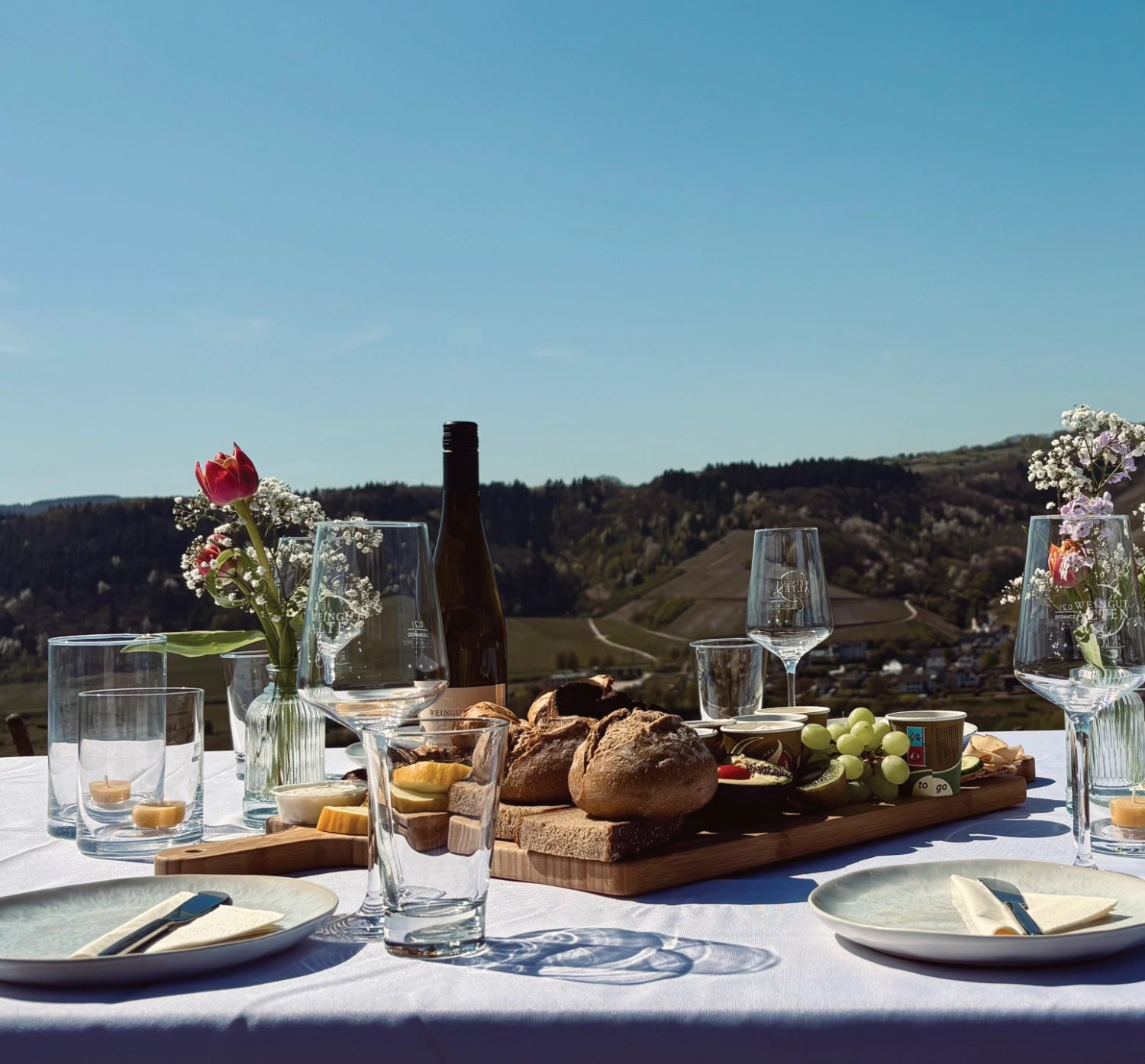 Weinpicknick