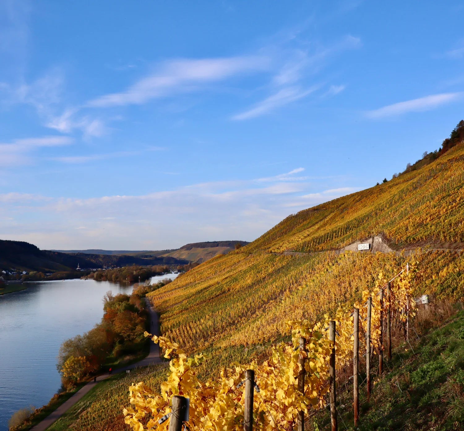 Weinwanderung