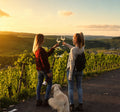Weinwanderung