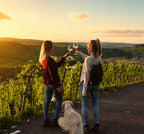 Weinwanderung